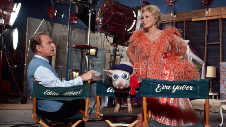 GREEN ACRES, Eddie Albert, Arnold the Piggy, Eva Gabor, (1968) 1965-1971.