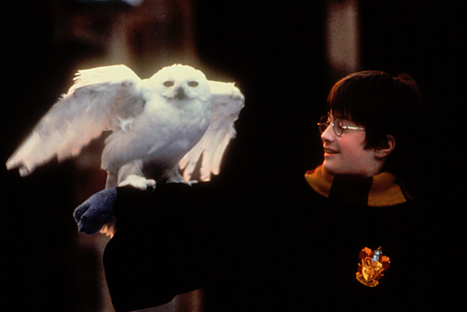 Vivid Did Jk Rowling Steal Harry Potter Photo for Desktop Vivid Did Jk Rowling Steal Harry Potter Photo for Desktop