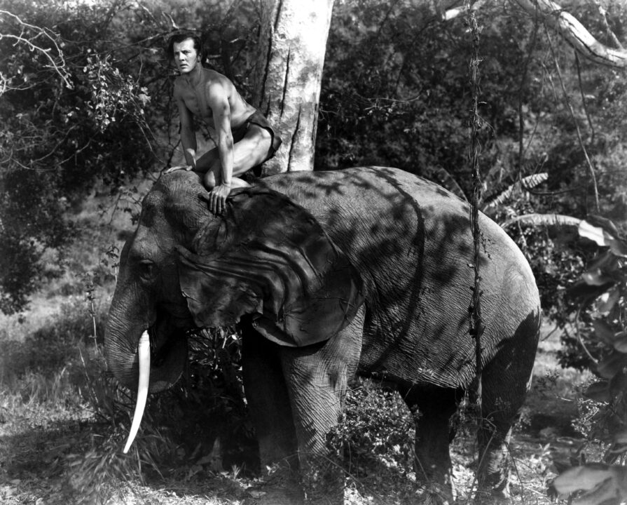 THE NEW ADVENTURES OF TARZAN, (aka, TARZAN'S NEW ADVENTURE, TARZAN AND THE GREEN GODDESS, TARZAN AND THE LOST GODDESS, TARZAN IN GUATEMALA), Bruce Bennett, (aka, Herman Brix), 1935
