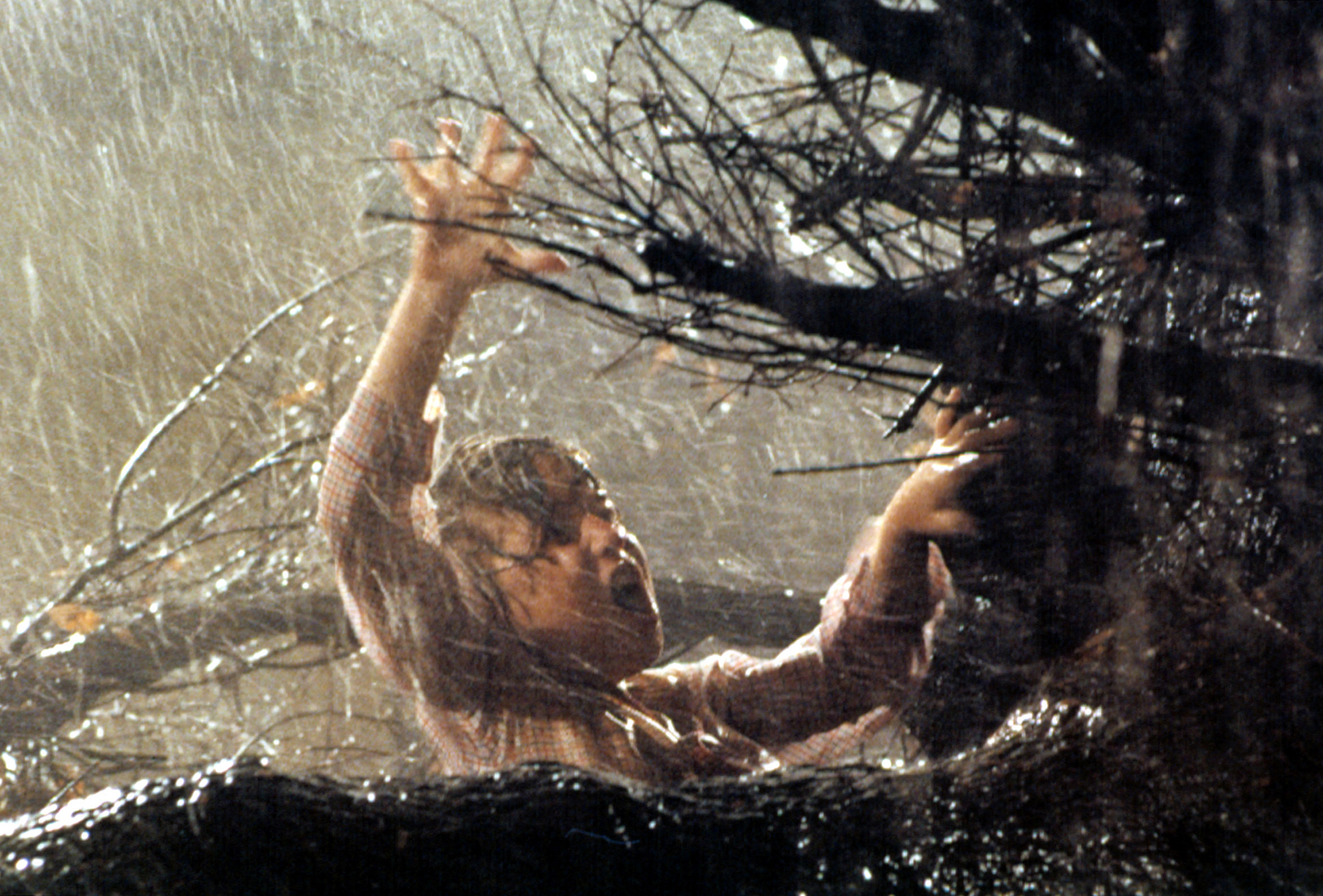 photo from the 1982 movie "Poltergeist," a closeup of young Robbie (Oliver Robins) screaming as he is being pulled into the mouth of an evil, living tree during a thunderstorm.