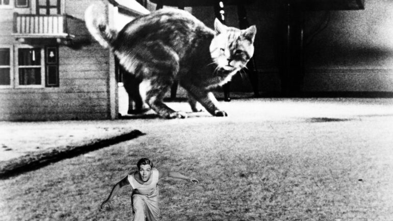 THE INCREDIBLE SHRINKING MAN, Grant Williams, 1957