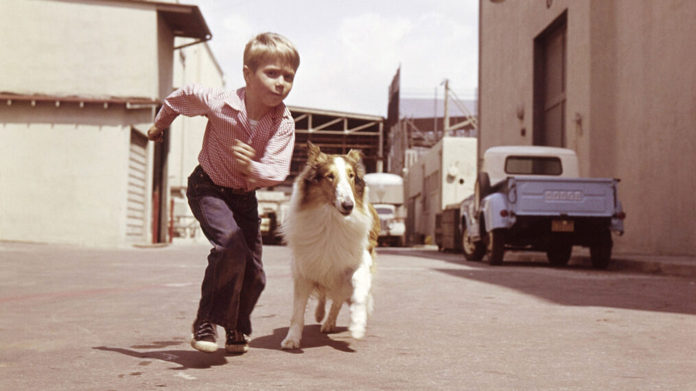 Jon Provost Talks About Working on 'Lassie' & Bonding With the Dogs
