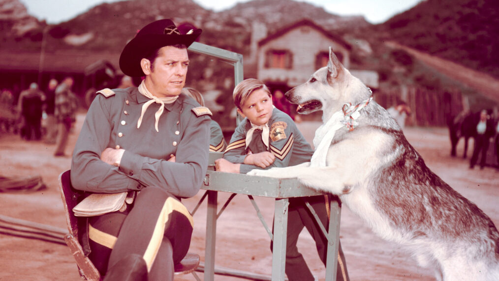 Celebrate the 70th Anniversary ‘The Adventures of Rin Tin Tin’ (Photos)