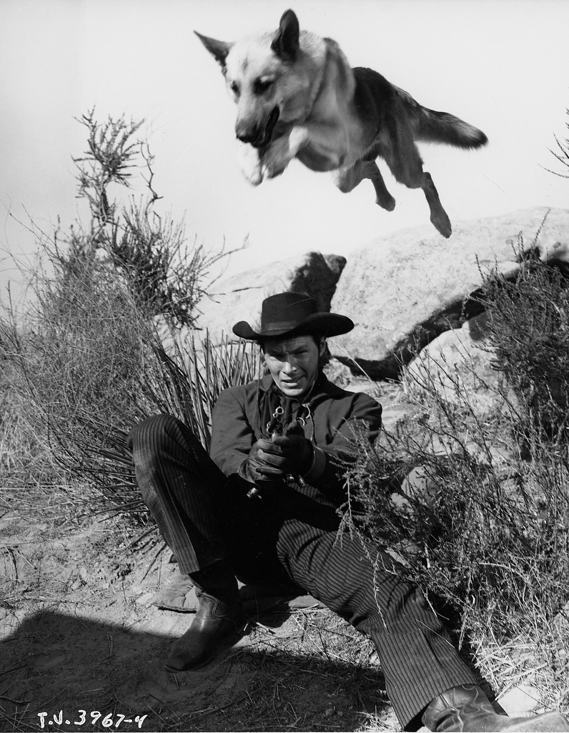 THE ADVENTURES OF RIN TIN TIN, Dean Fredericks, Rin Tin Tin, 'The Last Chance,' (Season 2, Episode 15, aired Dec 16, 1955), 1954-59.
