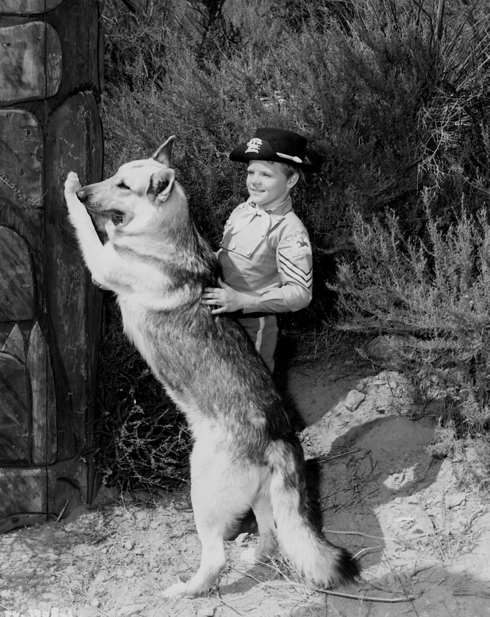 THE ADVENTURES OF RIN TIN TIN, Lee Aaker, 1954-59.