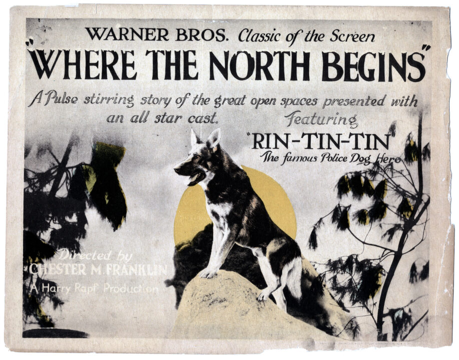 WHERE THE NORTH BEGINS, Rin Tin Tin, 1923