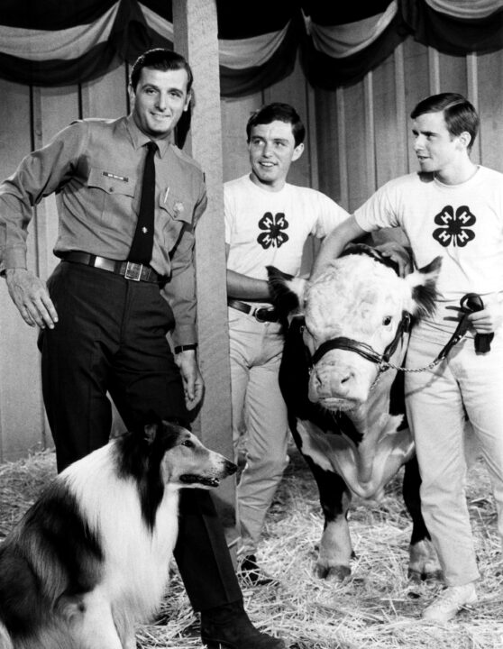 LASSIE, Lassie, Jack De Mave, Jerry Mathers, Jim Halferty, 'Lassie and the 4-H Boys' (Season 15, aired December 15, 1968), 1954-74