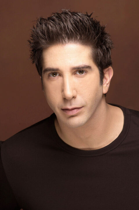 FRIENDS, David Schwimmer, (Season 9), 1994-2004