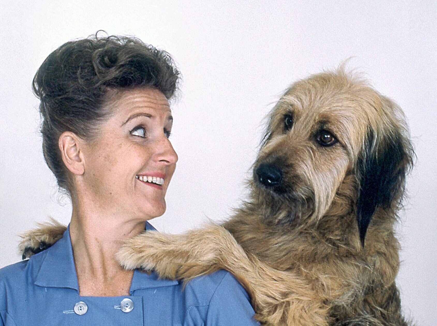 The Brady Bunch Movie' 30th Anniversary Fun Facts