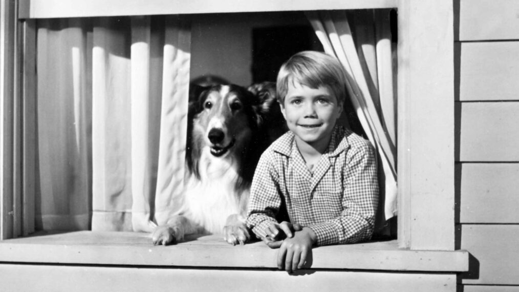 LASSIE, Jon Provost, with Lassie, 1954-1974. / TV Guide /Courtesy Everett Collection
