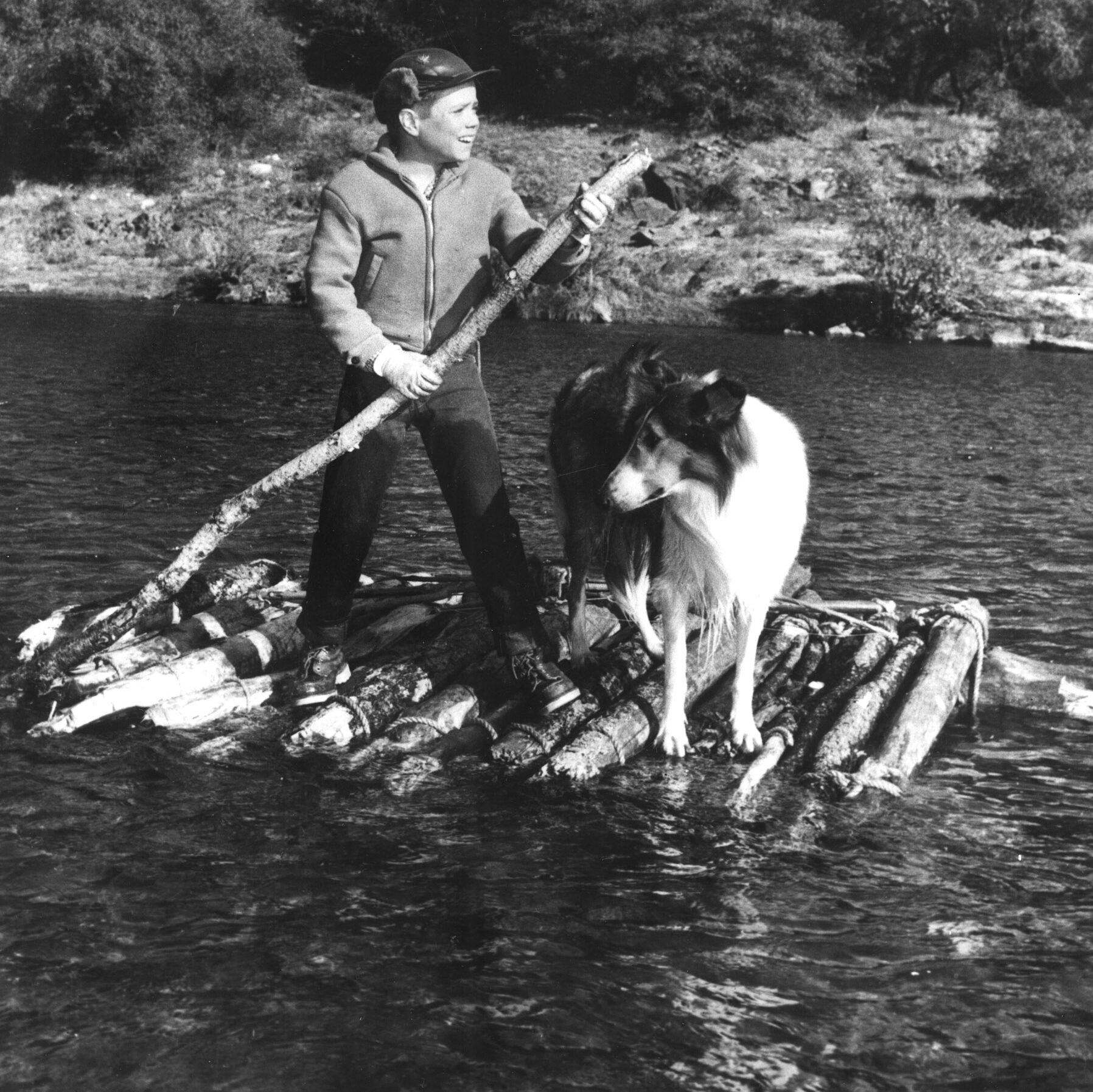 5 Things You Never Knew About the ‘Lassie’ Star Jon Provost As He