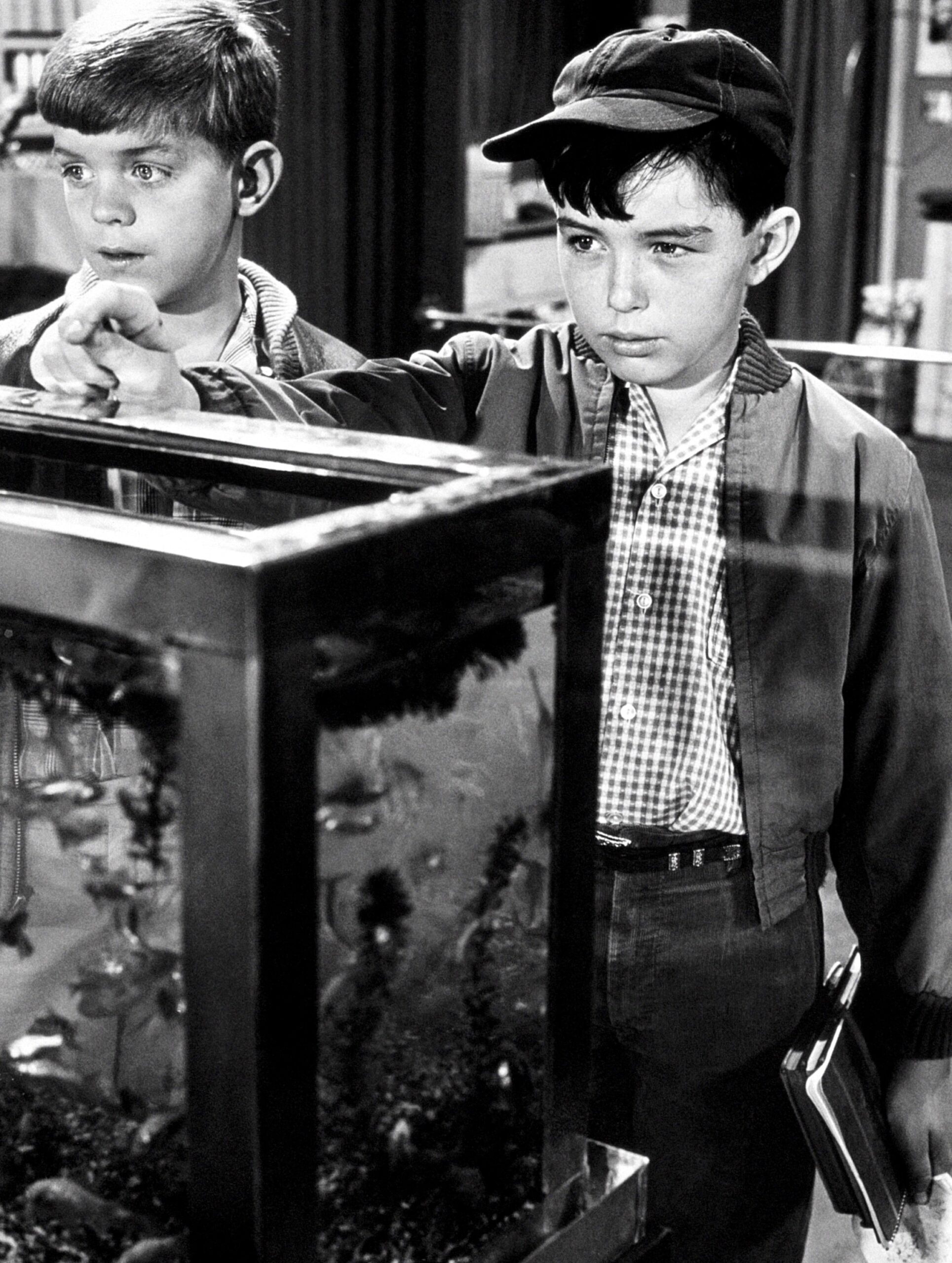 LEAVE IT TO BEAVER, Jerry Mathers (right), 1957-63 (ca. late 1950s photo).