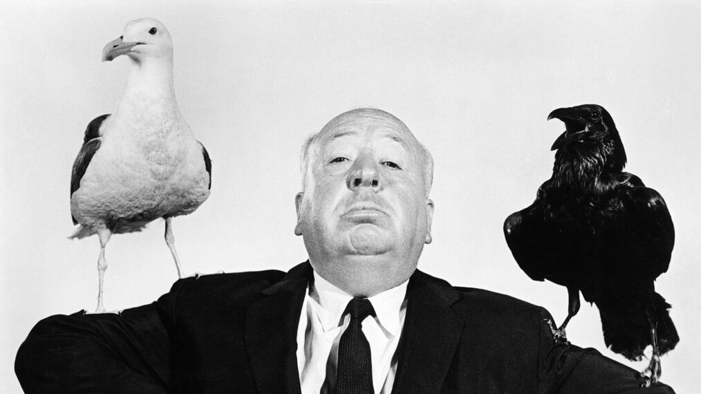 THE BIRDS, director Alfred Hitchcock, publicity shot, 1963 thebirds-fsc14(thebirds-fsc14)