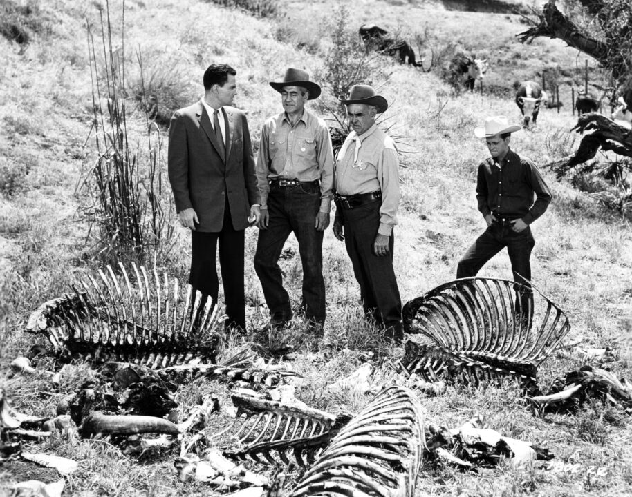 TARANTULA, from left: John Agar, Steve Darrell, Nestor Paiva, Bing Russell, 1955