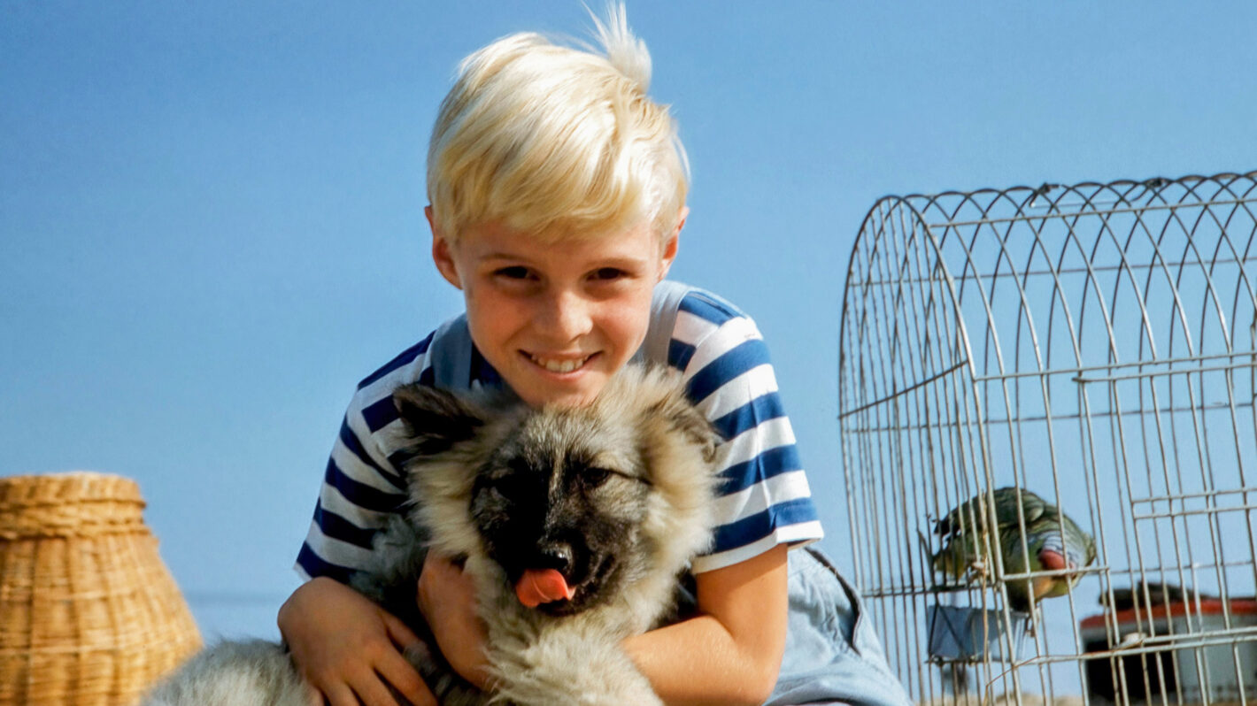 'Dennis the Menace's Jay North Dead at 73 After Cancer Battle