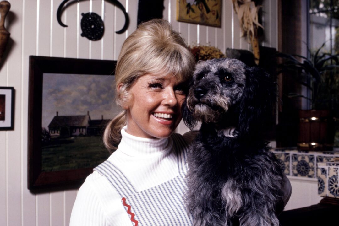 THE DORIS DAY SHOW, Doris Day, 1968-73 (1972 photo)