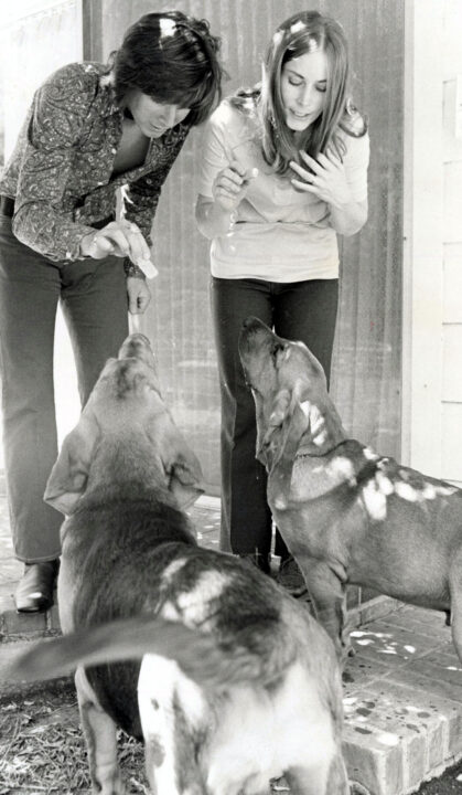 Ann Moses and Bobby Sherman playing with his dogs