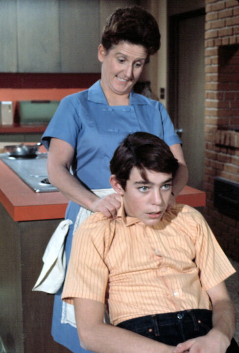 THE BRADY BUNCH, Ann B. Davis, Barry Williams,(Season 1), 1969-1974