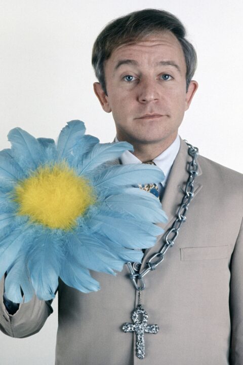 ROWAN & MARTIN'S LAUGH-IN, Henry Gibson, 1968-73