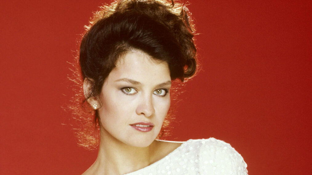 SPENSER: FOR HIRE, Barbara Stock, 1985-88,