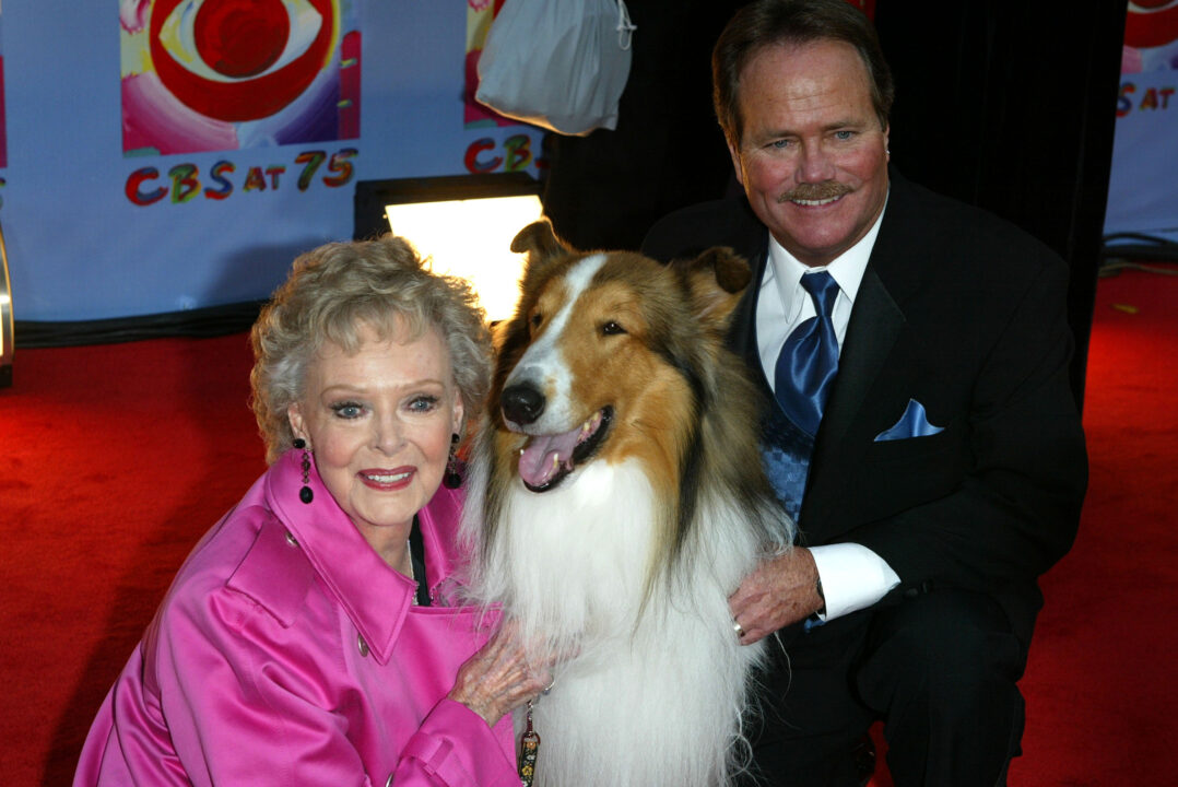 NEW YORK - NOVEMBER 2: (U.S. TABS AND HOLLYWOOD REPORTER OUT) Actress June Lockhart, Lassie and actor Jon Provost arrive at the "CBS At 75" celebration at the Hammerstein Ballroom November 2, 2003 in New York City. This special event commemorates CBS Network's 75th anniversary.(Photo by Matthew Peyton/Getty Images)