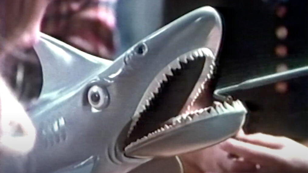 image from a 1975 commercial for