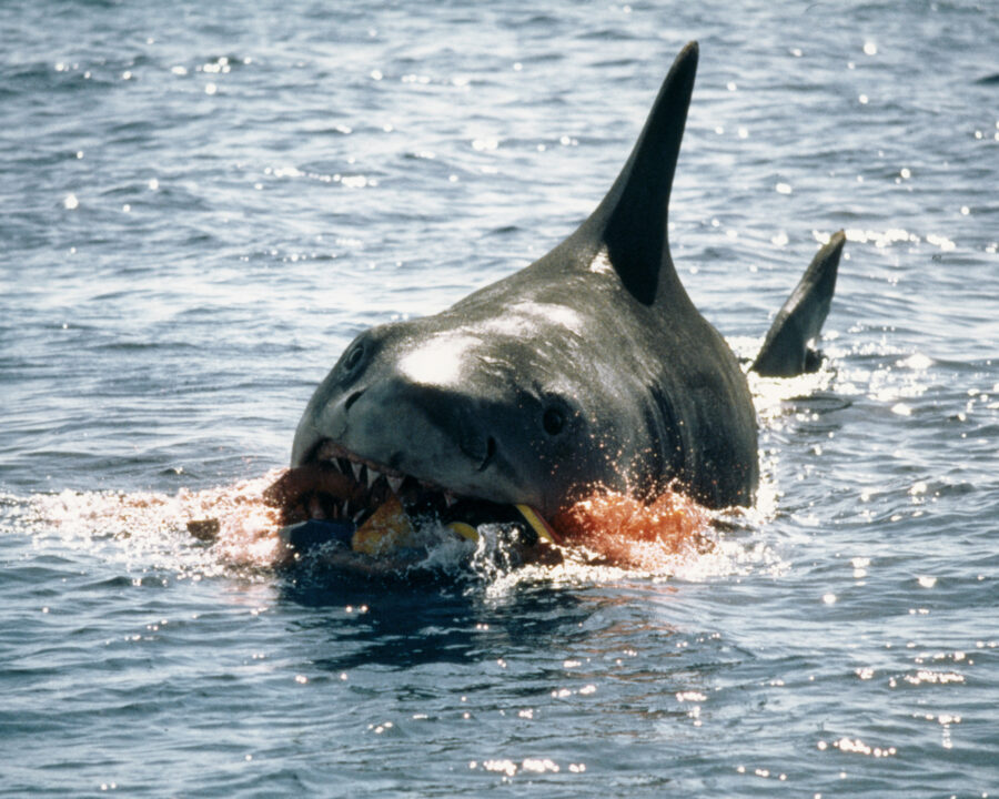 image of a deleted scene from the 1975 movie