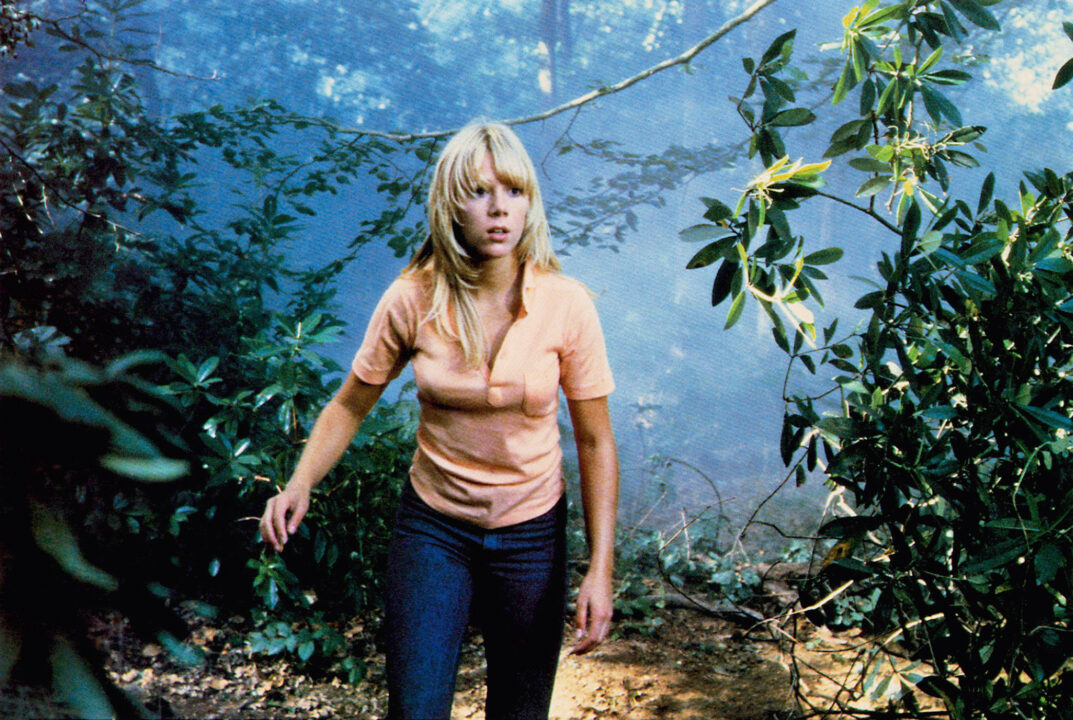 THE WATCHER IN THE WOODS, Lynn-Holly Johnson, 1980, © Buena Vista/courtesy Everett Collection