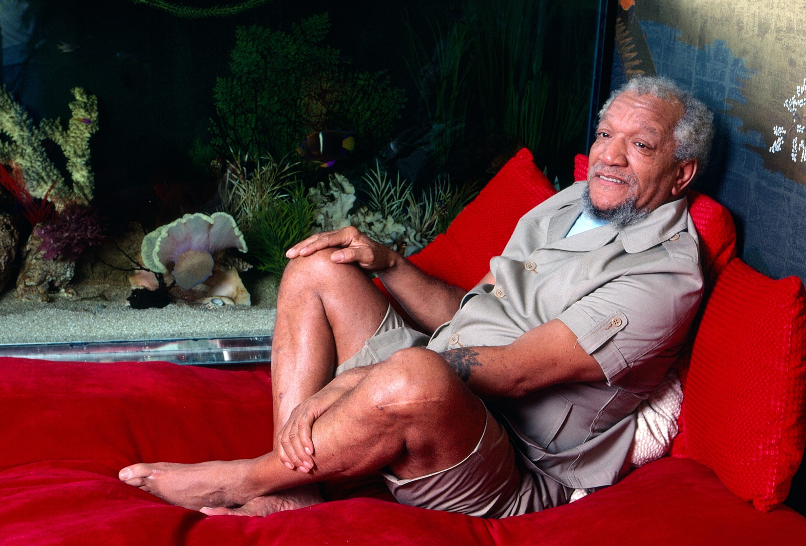 Redd Foxx, 1980. ph: Gene Trindl/TV Guide/courtesy Everett Collection