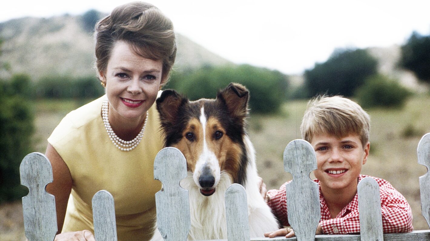 Lassie Cast in 2025: Where Are They Now?