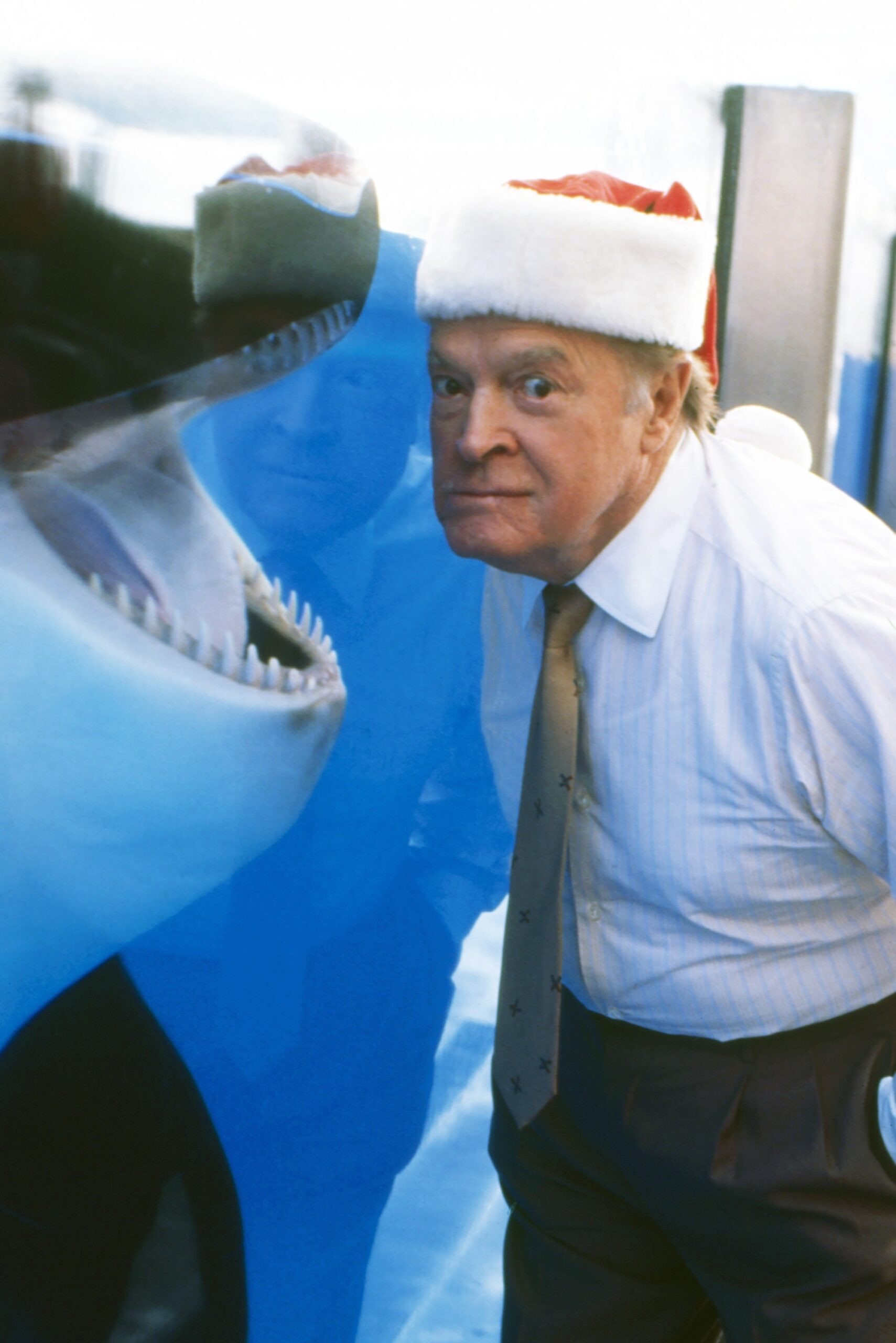 THE BOB HOPE SHOW, Bob Hope (with shark figure from 'Jaws'), 'NBC Christmas Party', (aired December 14, 1975), 1950-1979. ph: Gary Null / ©NBC / Courtesy Everett Collection