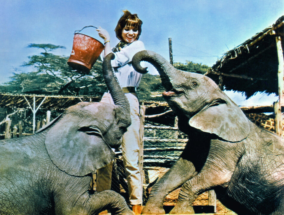 HATARI!, Elsa Martinelli, 1962