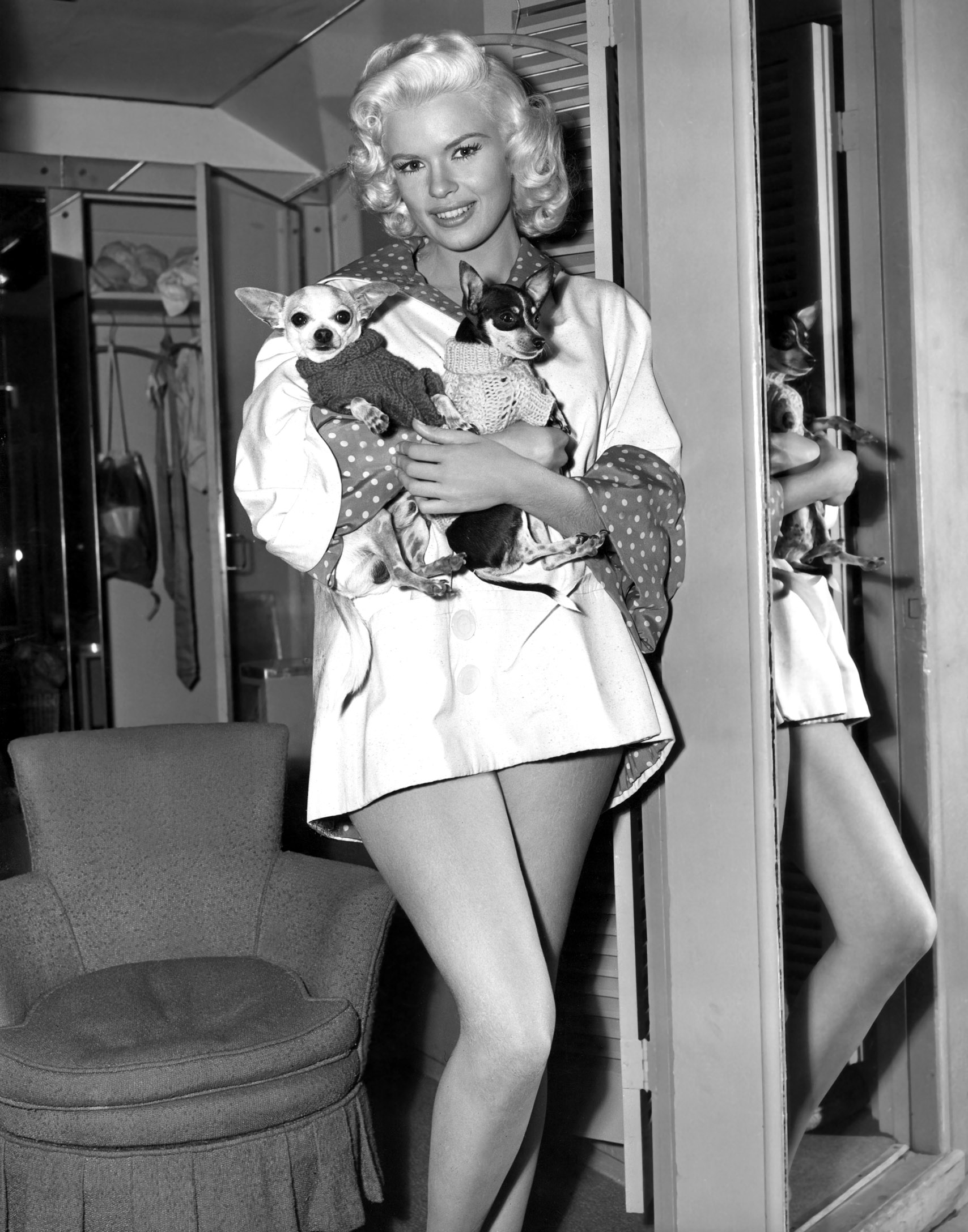 Jayne Mansfield, with two of her chihuahuas on the set, 1956. of WILL SUCCESS SPOIL ROCK HUNTER?, 1956