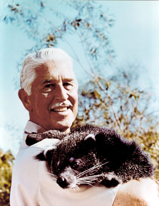 Mutual of Omaha's WILD KINGDOM, Marlin Perkins, 1963-1985.