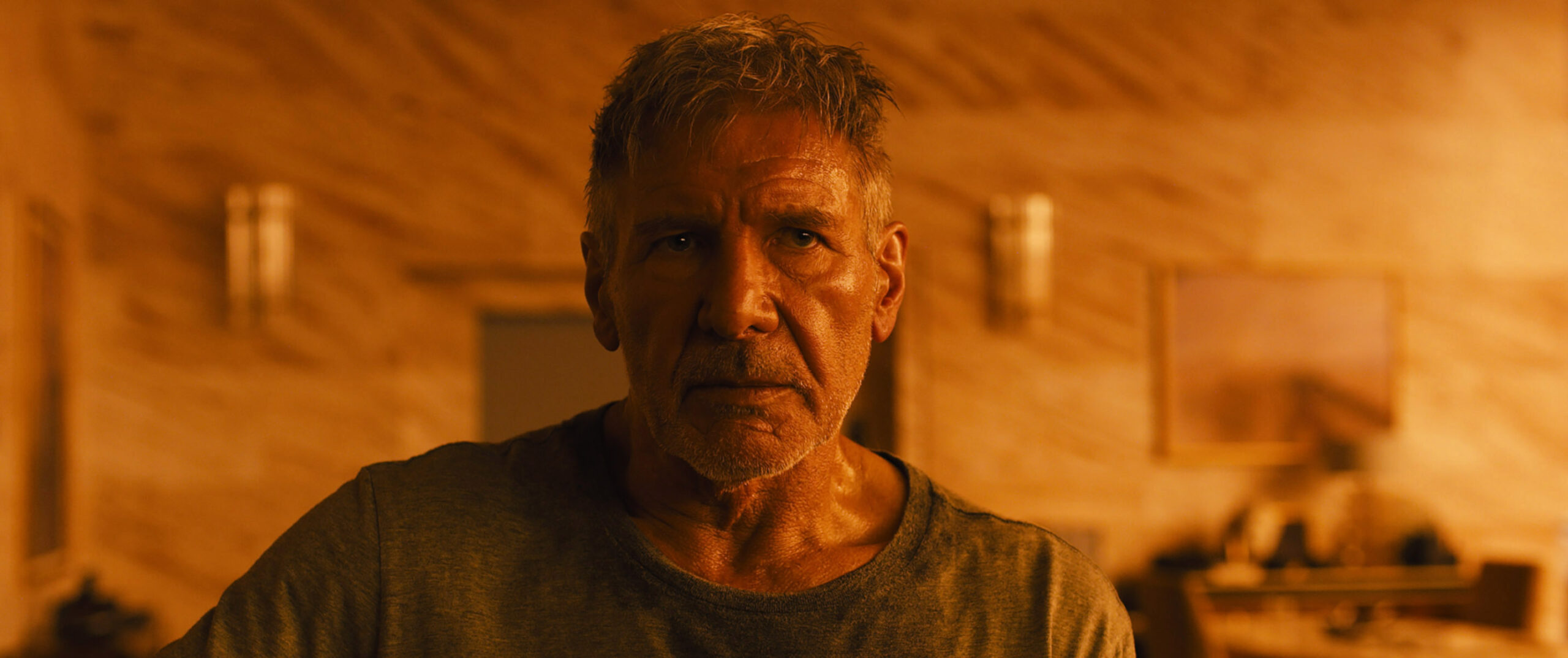 BLADE RUNNER 2049, Harrison Ford, 2017.