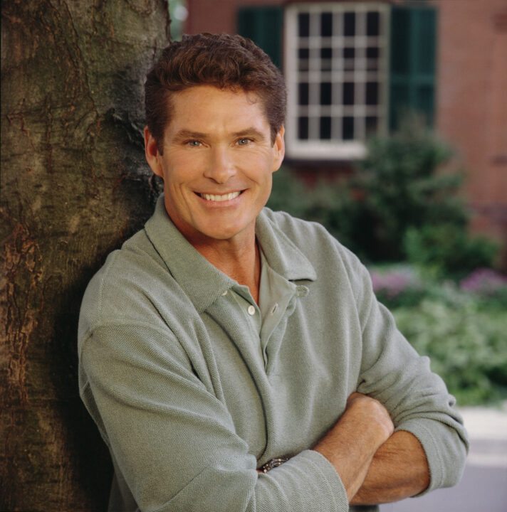 ONE TRUE LOVE, David Hasselhoff, 2000