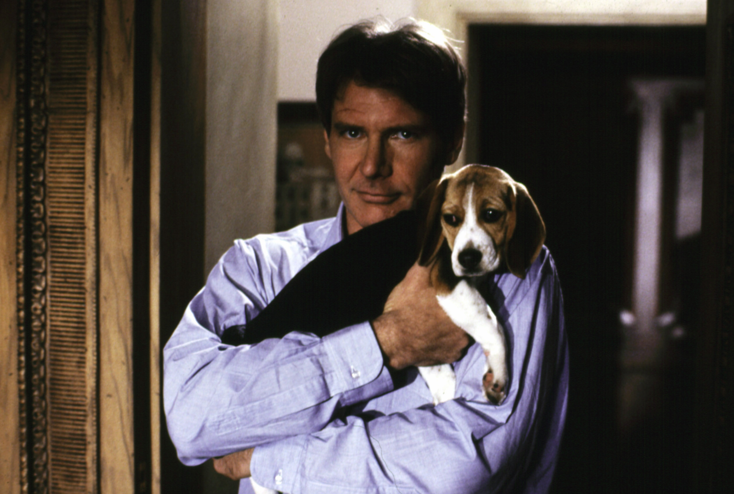 REGARDING HENRY, Harrison Ford, 1991