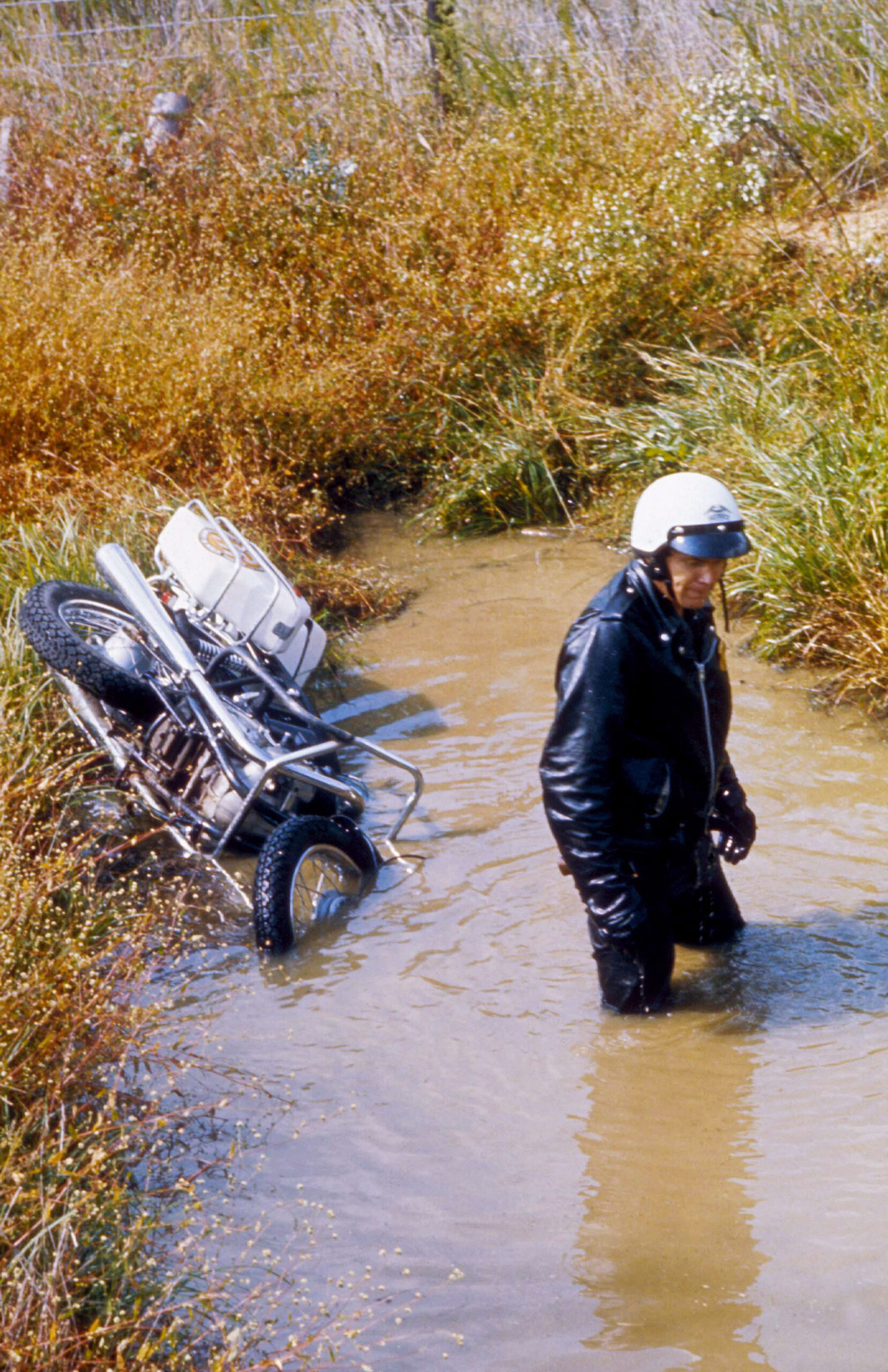 'Cannonball Run' Star Alfie Wise Dies at 82