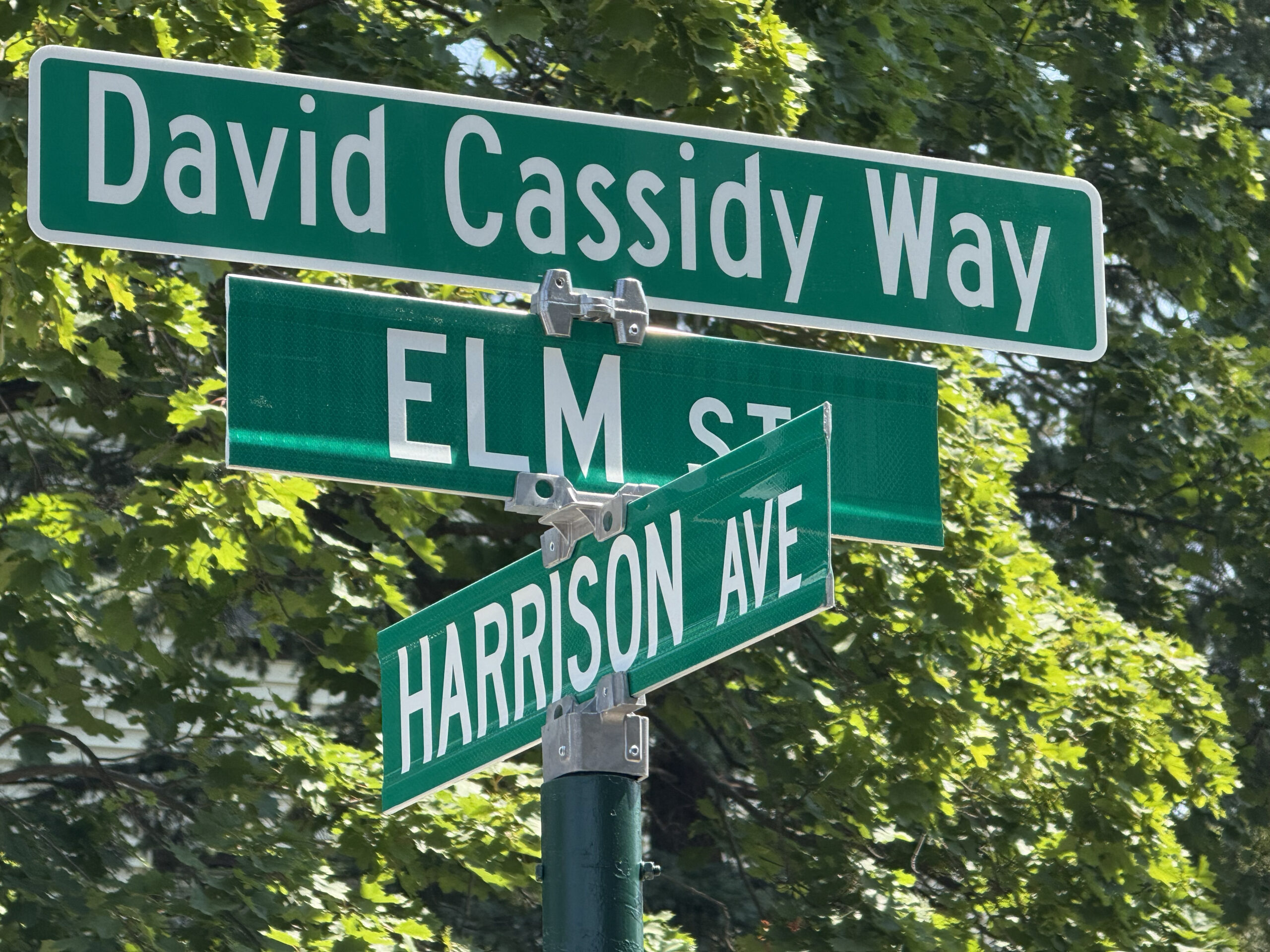 David Cassidy Way street sign