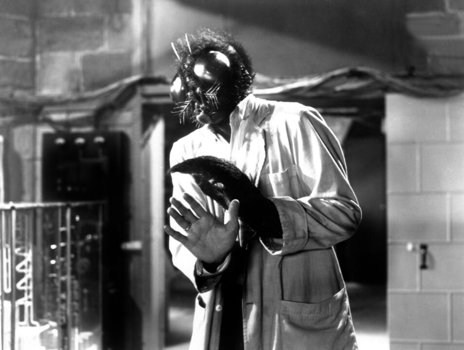 THE FLY, David Hedison, 1958.