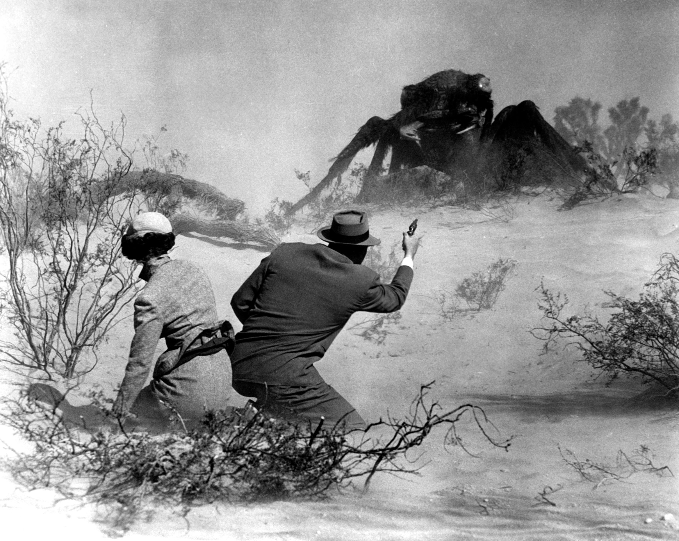 THEM!, Joan Weldon, James Arness, 1954.