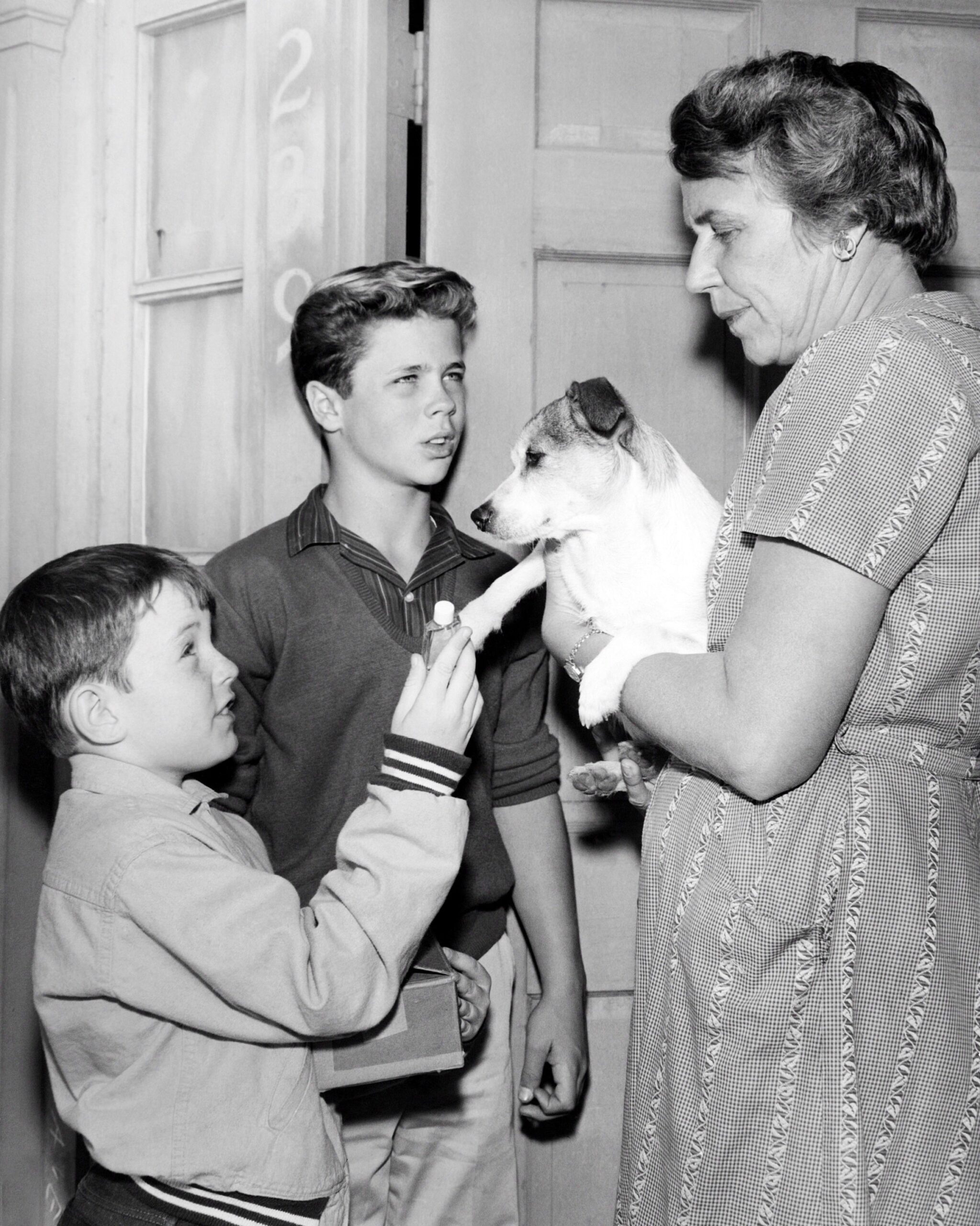 LEAVE IT TO BEAVER, from left, Jerry Mathers, Tony Dow, Doris Packer, 1957-63 (ca. late 1950s photo).