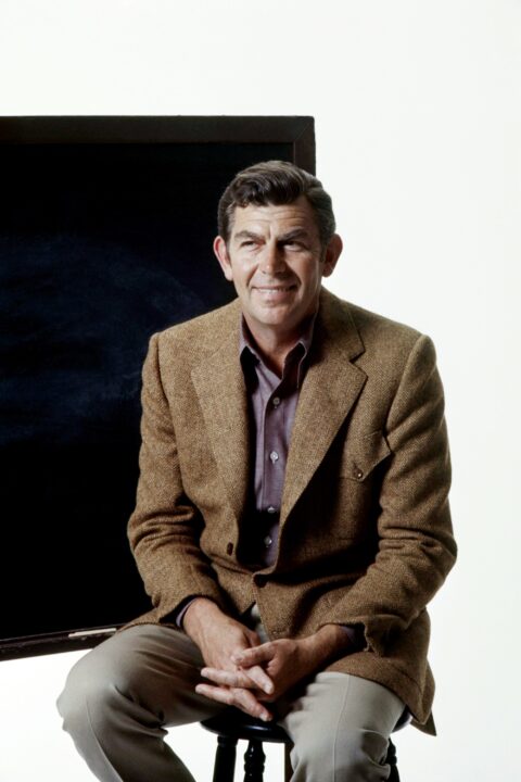 What Was 'The New Andy Griffith Show' and Why Was It Cancelled After Just  One Season?