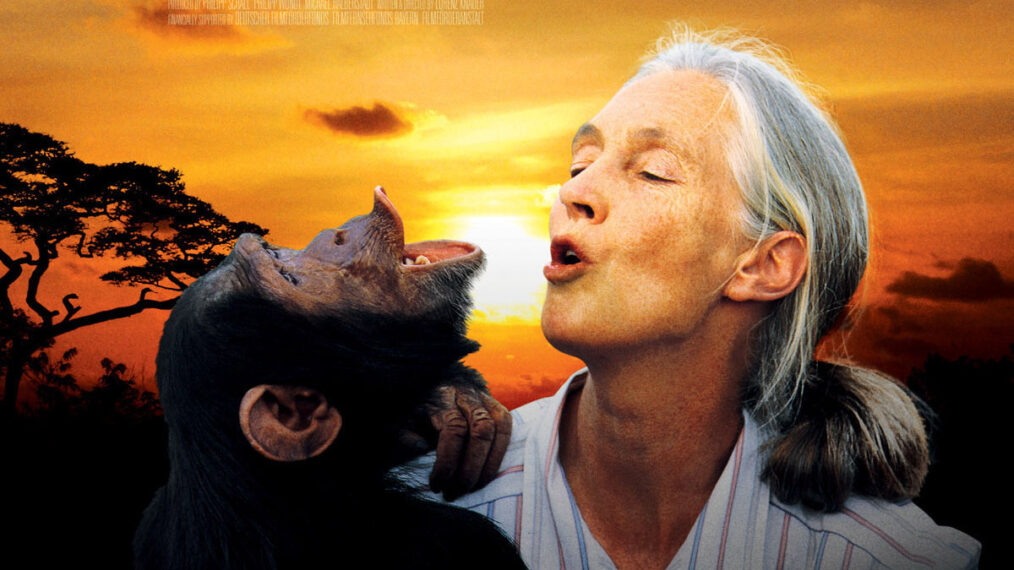 JANE'S JOURNEY, Jane Goodall, US poster art, 2010.