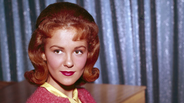 THE DONNA REED SHOW - 