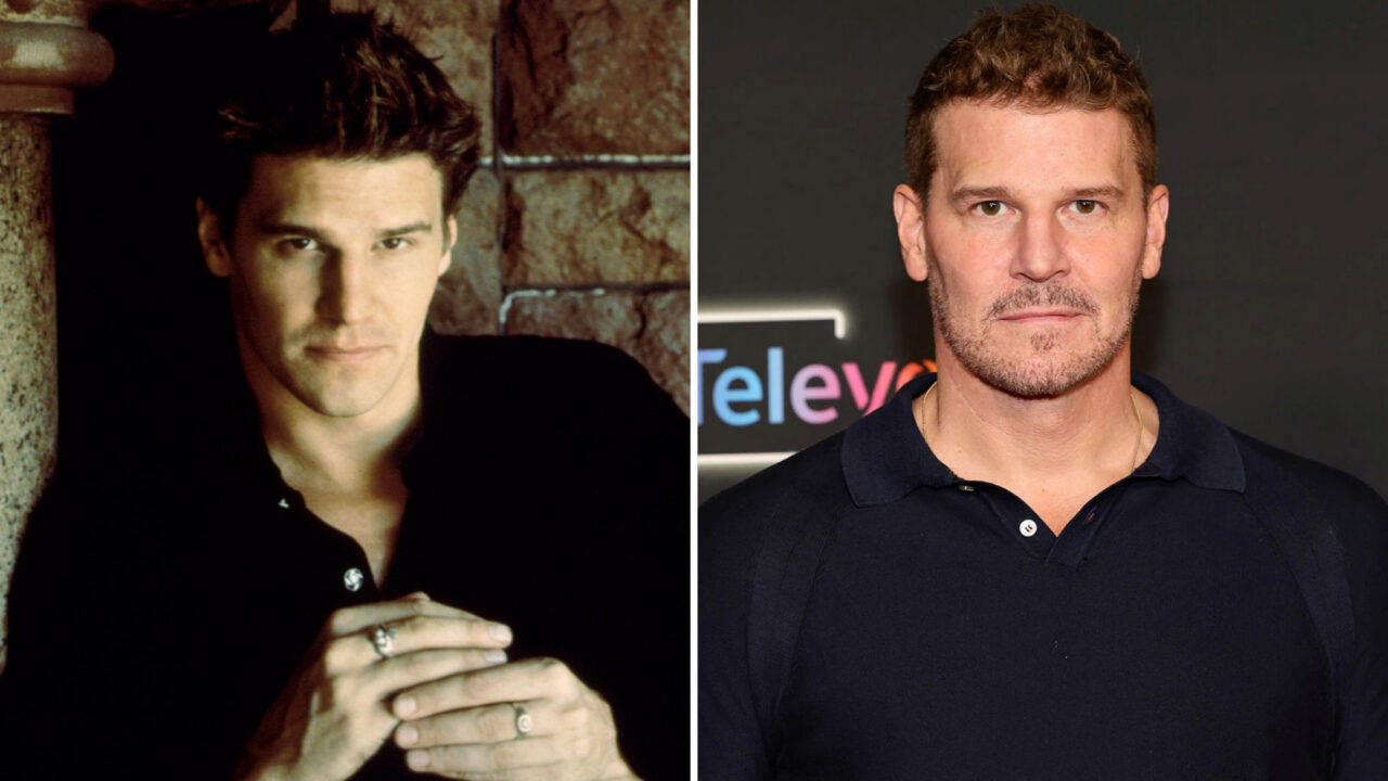 David-Boreanaz