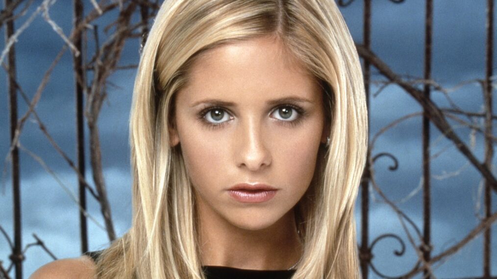 Sarah Michelle Gellar, Buffy the Vampire Slayer