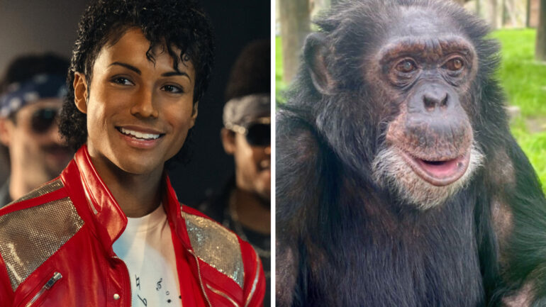 MICHAEL, Jaafar Jackson as Michael Jackson, 2026. ph: Glen Wilson / © Lionsgate / Courtesy Everett Collection; https://www.instagram.com/p/DXpAJRXl3Vt/
