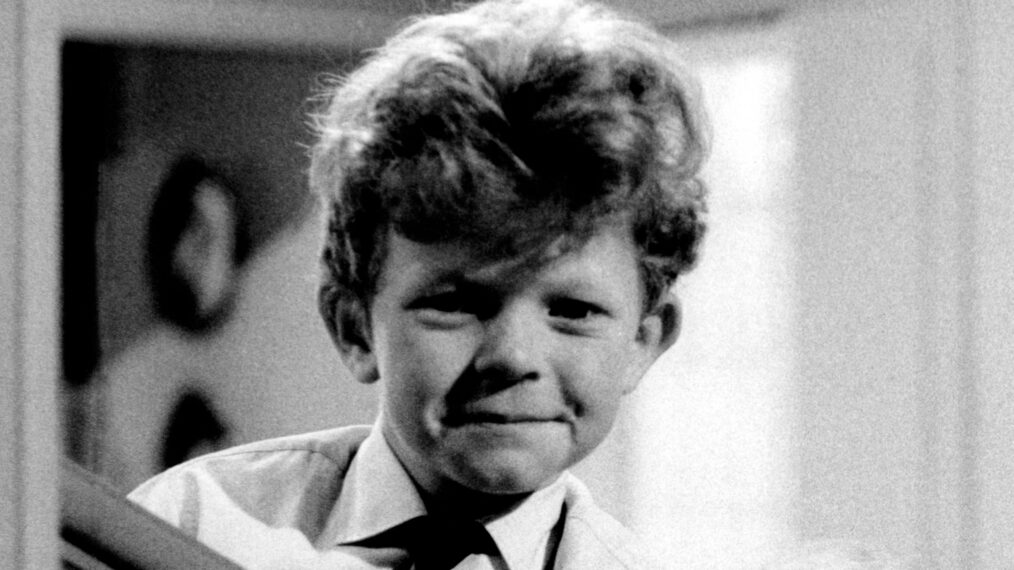 FAMILY AFFAIR, Johnny Whitaker