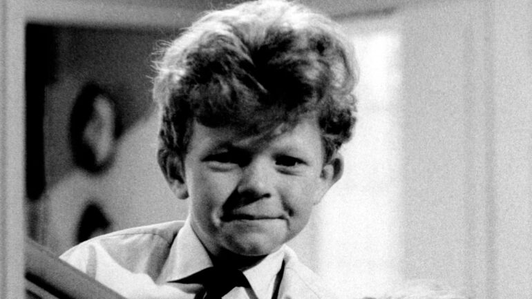 FAMILY AFFAIR, Johnny Whitaker